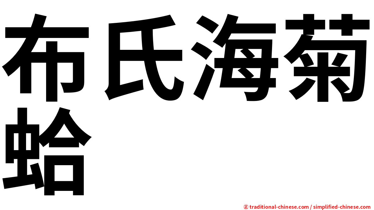 布氏海菊蛤