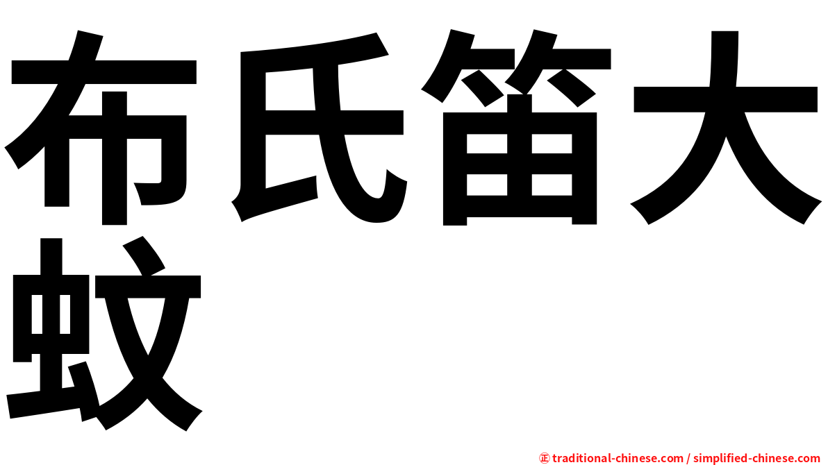 布氏笛大蚊