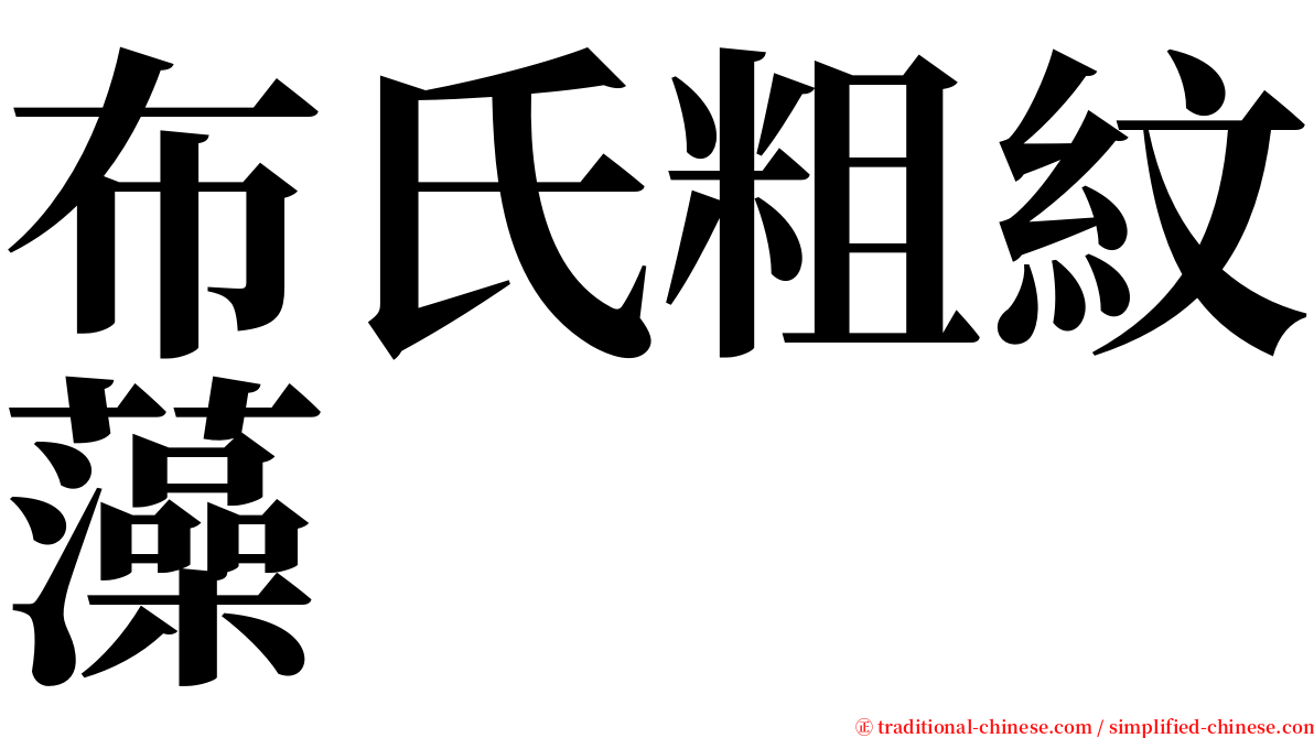 布氏粗紋藻 serif font