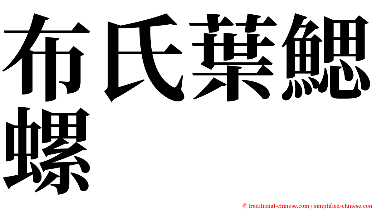 布氏葉鰓螺 serif font