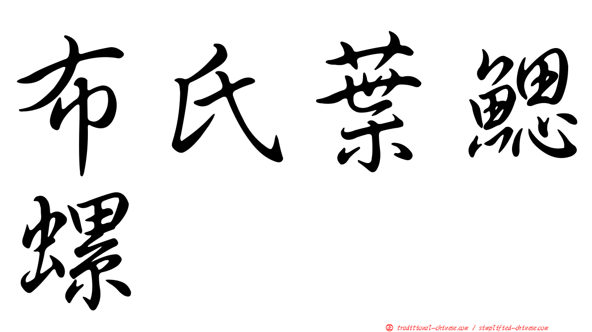 布氏葉鰓螺
