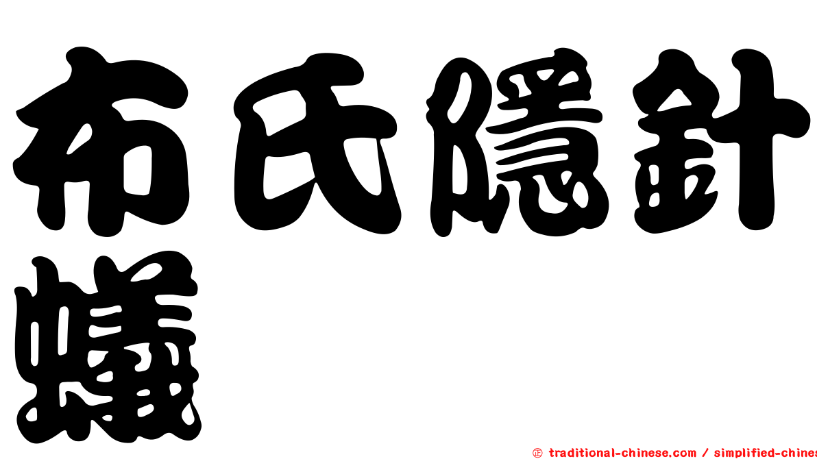 布氏隱針蟻
