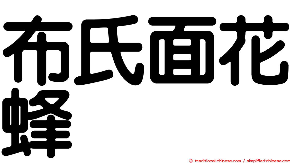 布氏面花蜂