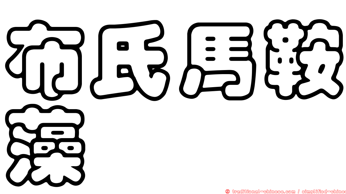 布氏馬鞍藻