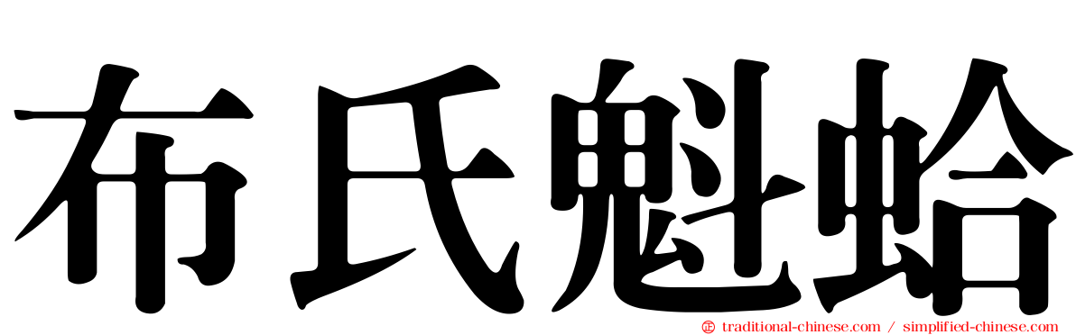 布氏魁蛤