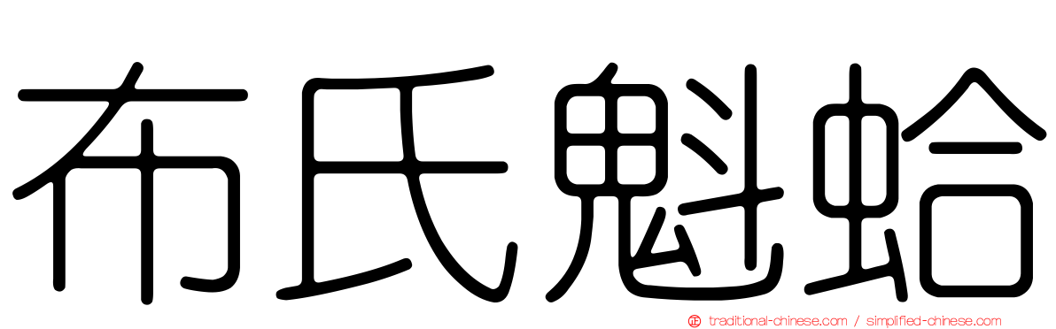 布氏魁蛤