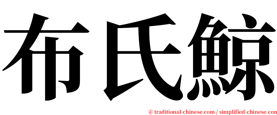 布氏鯨 serif font