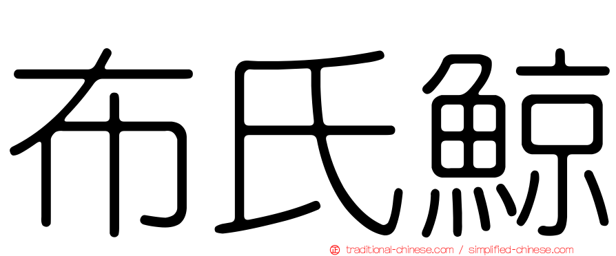 布氏鯨