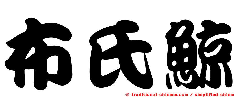 布氏鯨