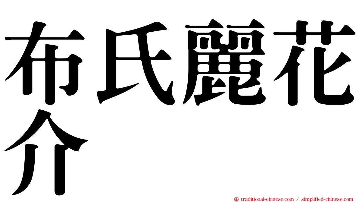 布氏麗花介