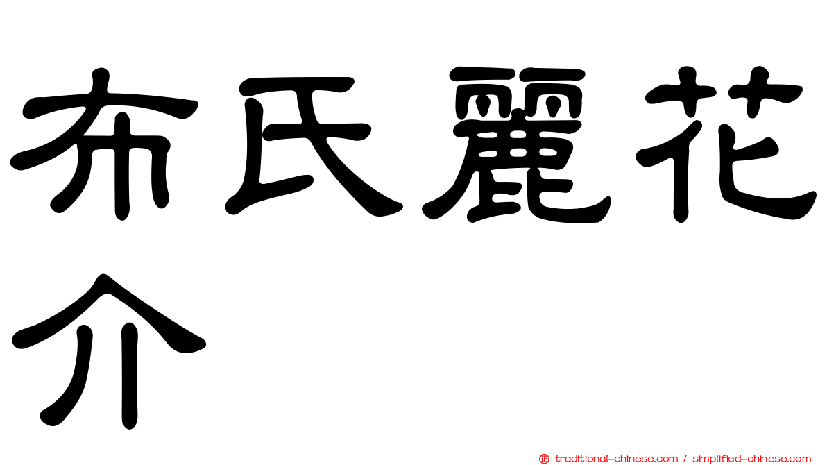 布氏麗花介