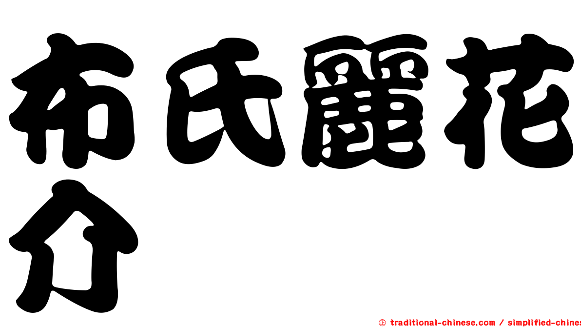 布氏麗花介