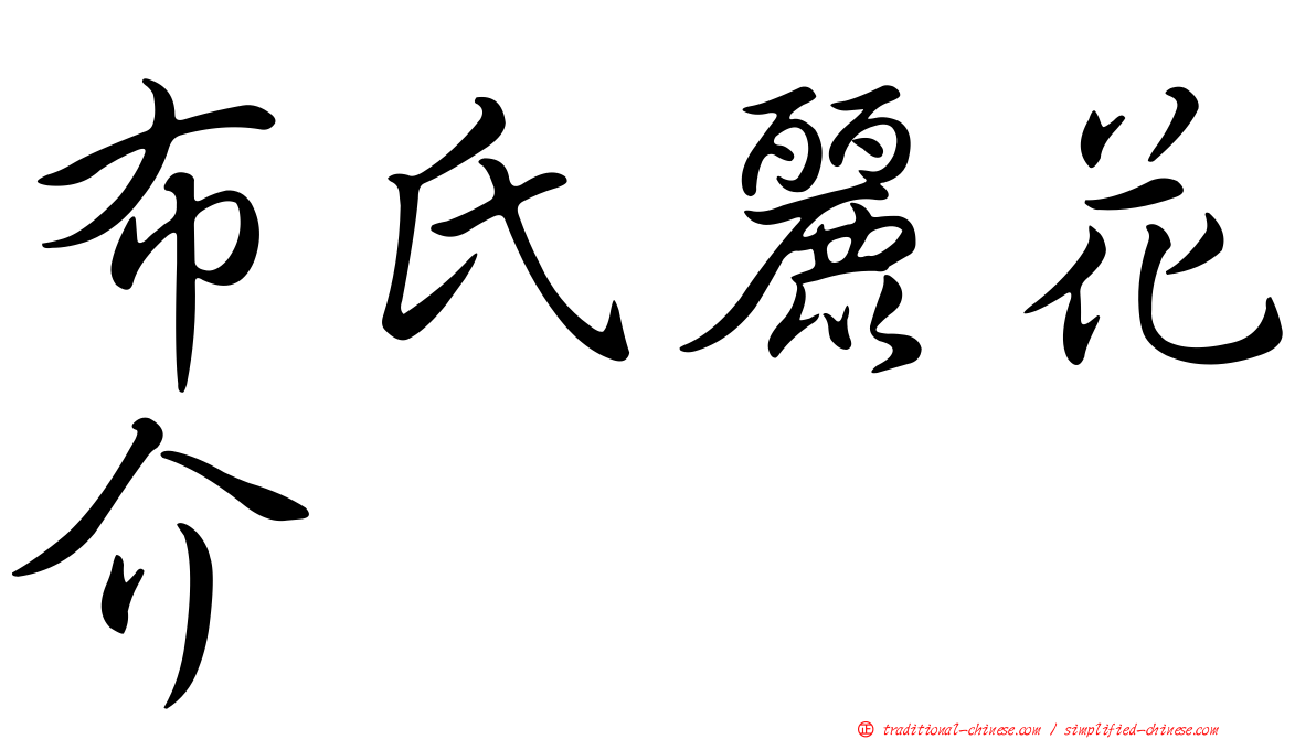 布氏麗花介