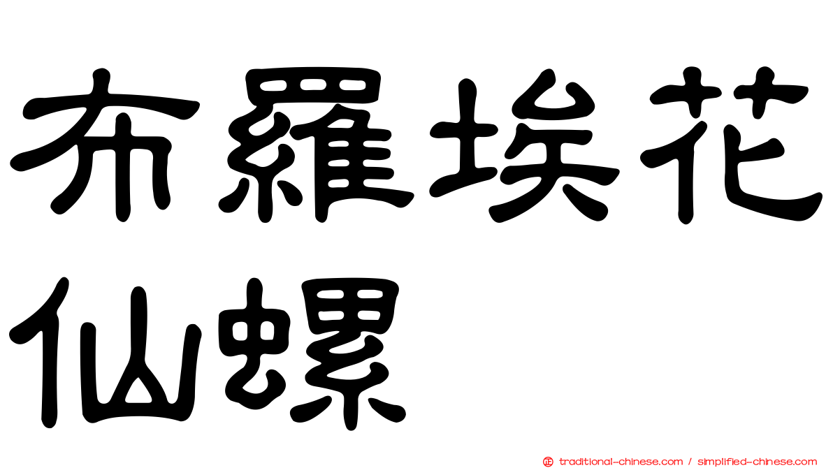 布羅埃花仙螺