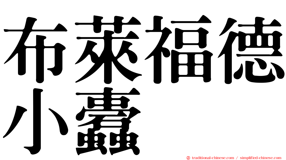布萊福德小蠹