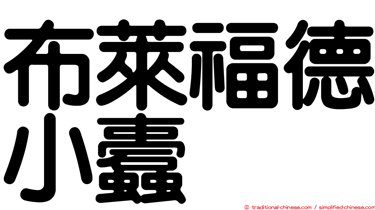 布萊福德小蠹