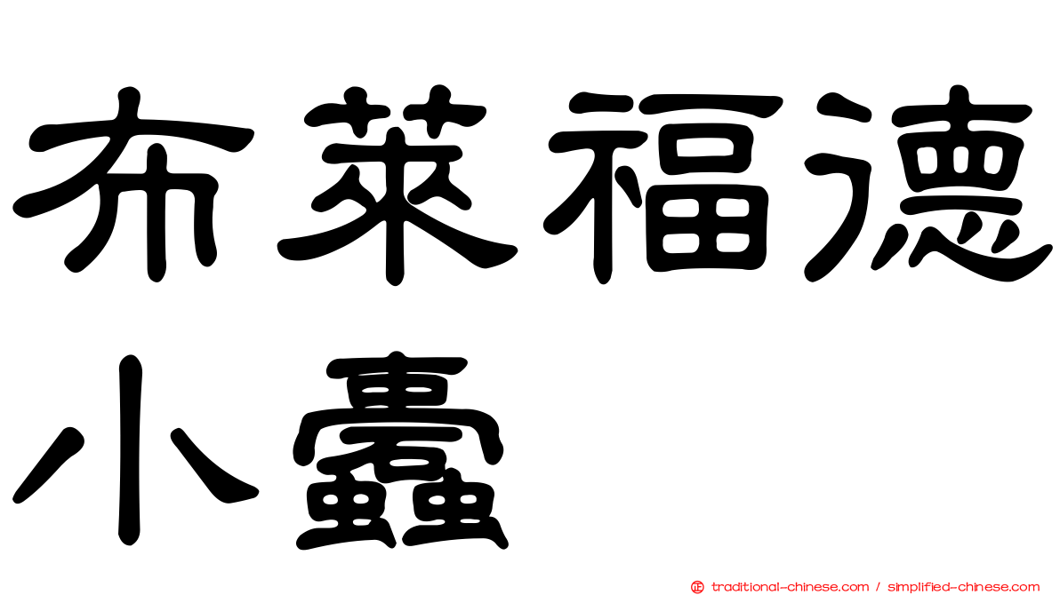 布萊福德小蠹