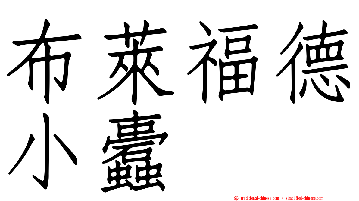 布萊福德小蠹
