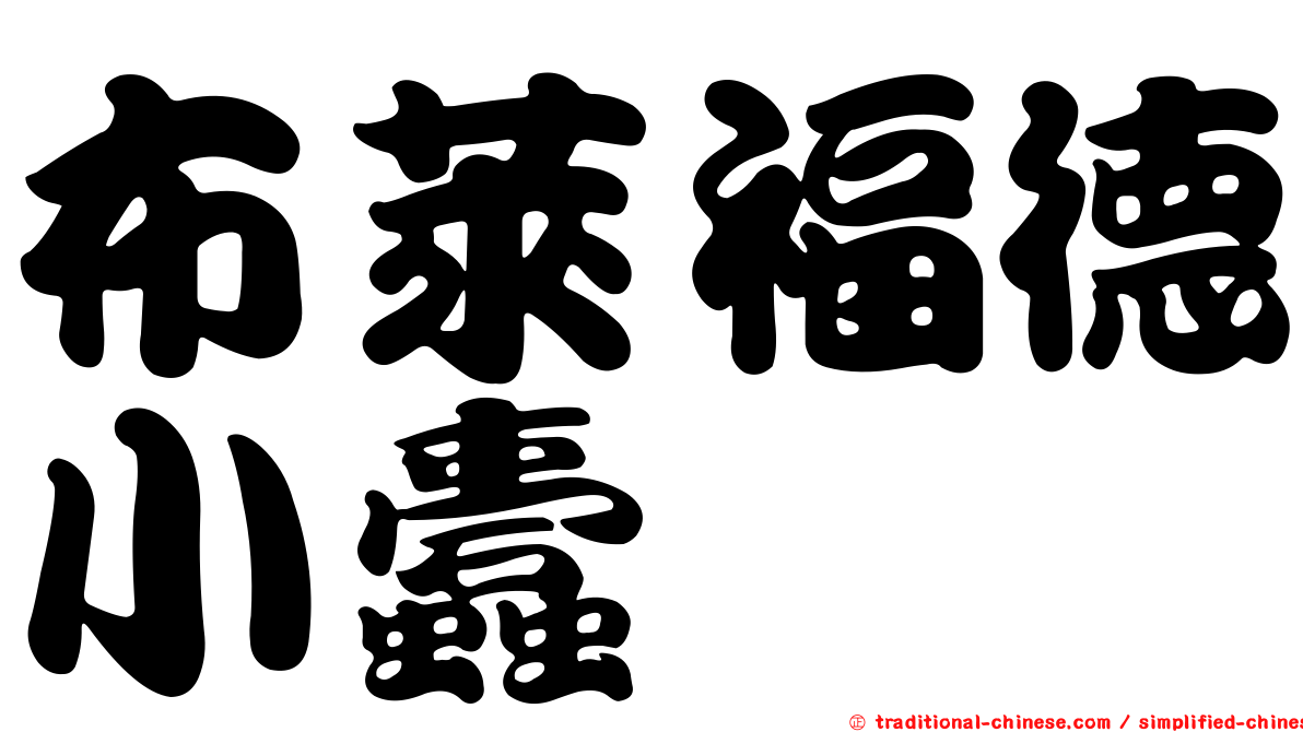 布萊福德小蠹