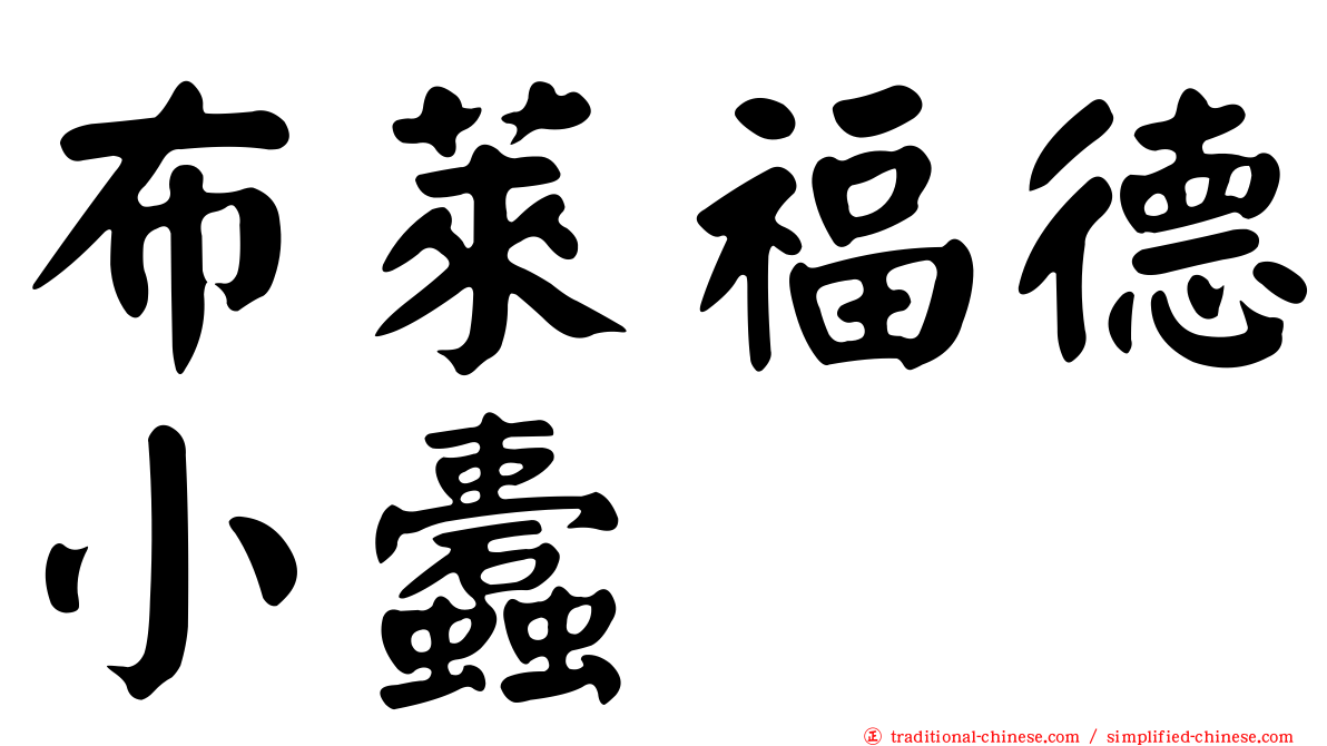布萊福德小蠹