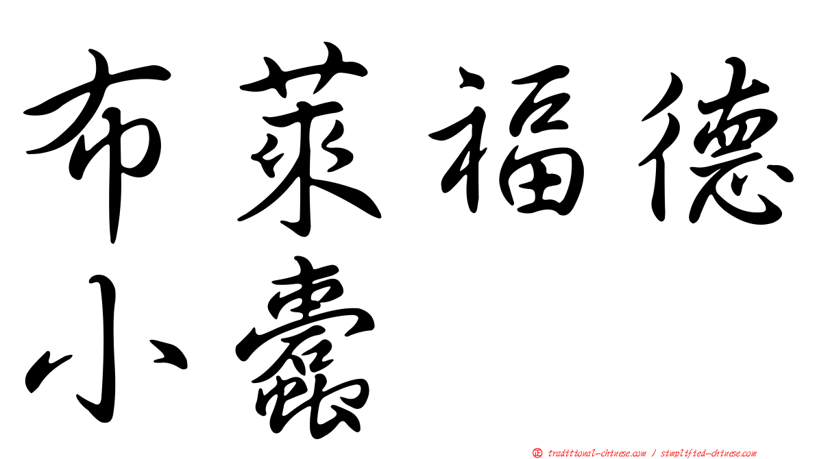 布萊福德小蠹