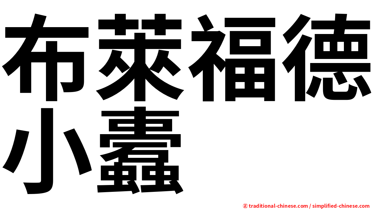 布萊福德小蠹