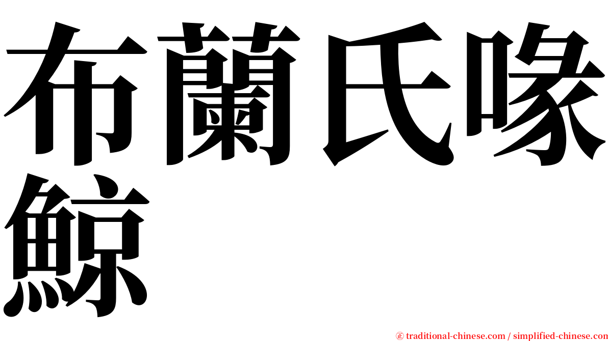 布蘭氏喙鯨 serif font