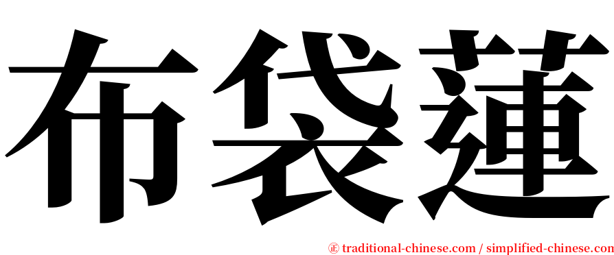 布袋蓮 serif font