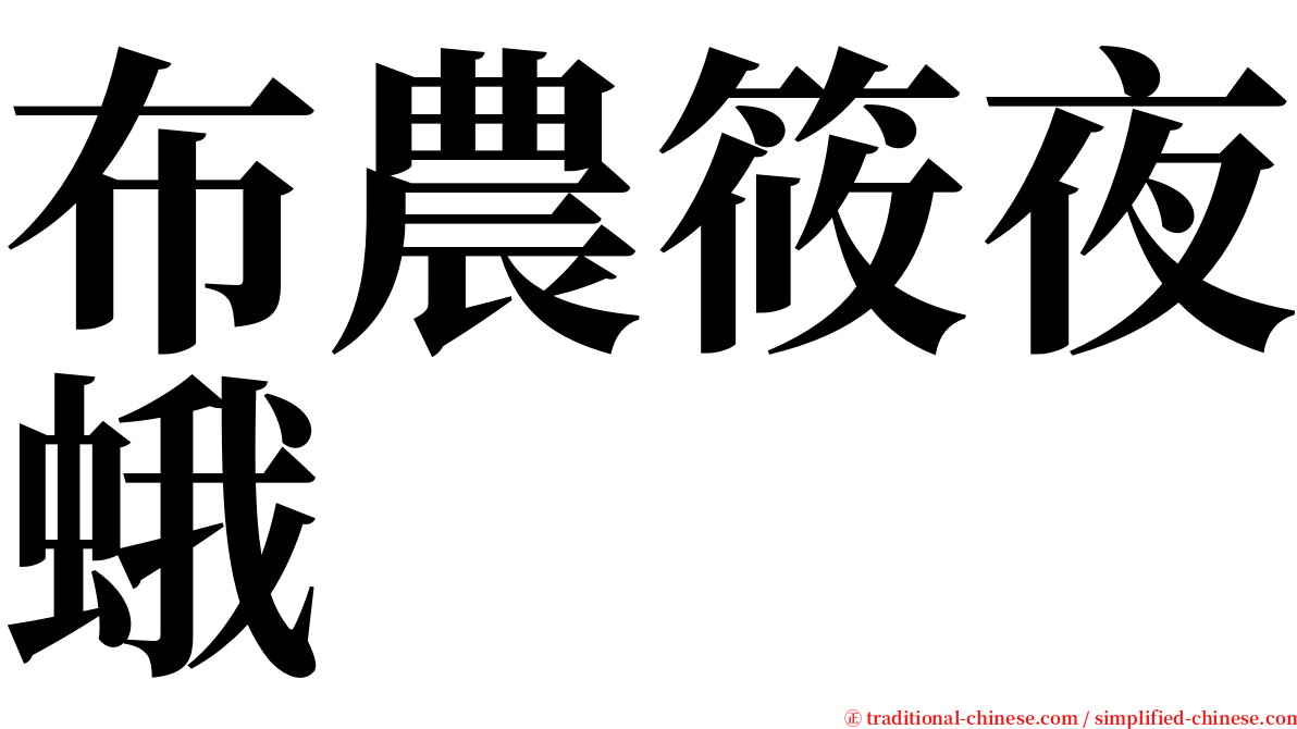 布農筱夜蛾 serif font