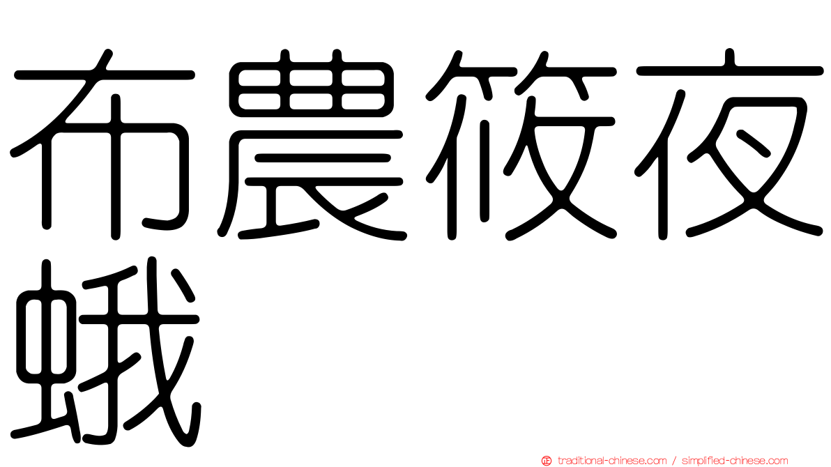 布農筱夜蛾