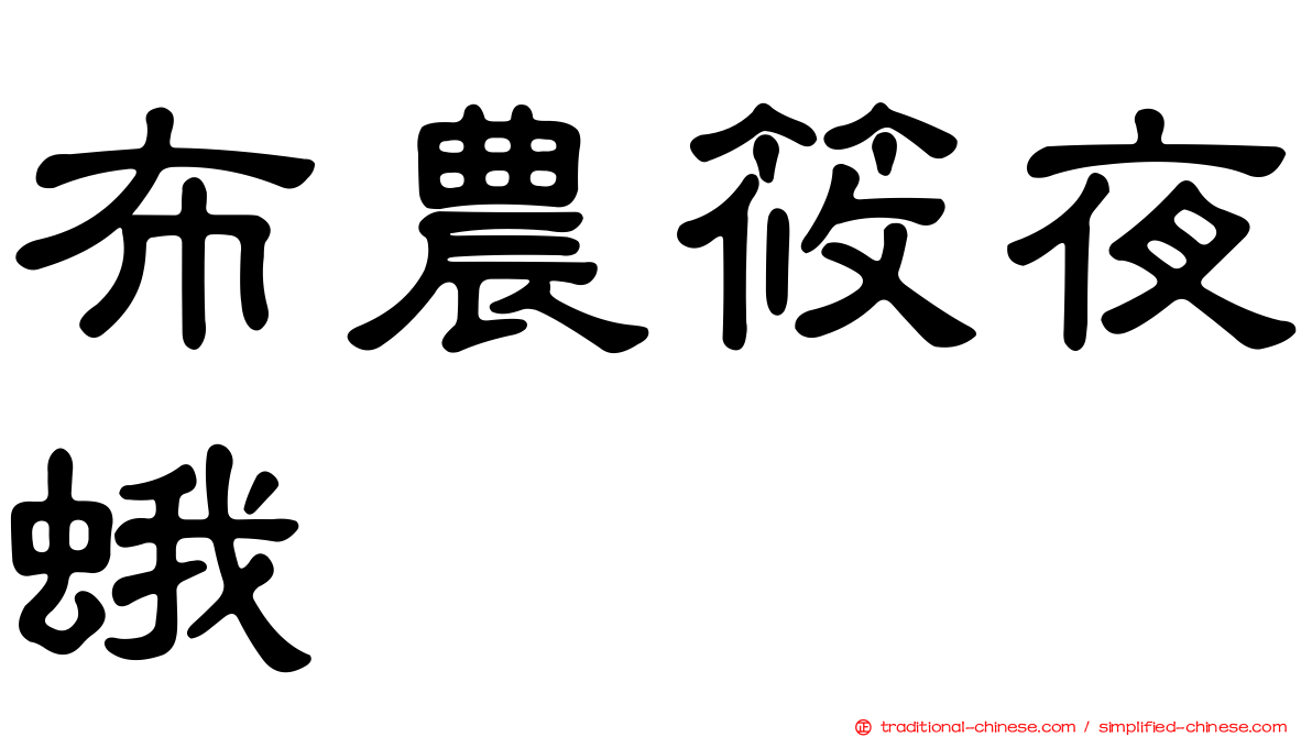 布農筱夜蛾