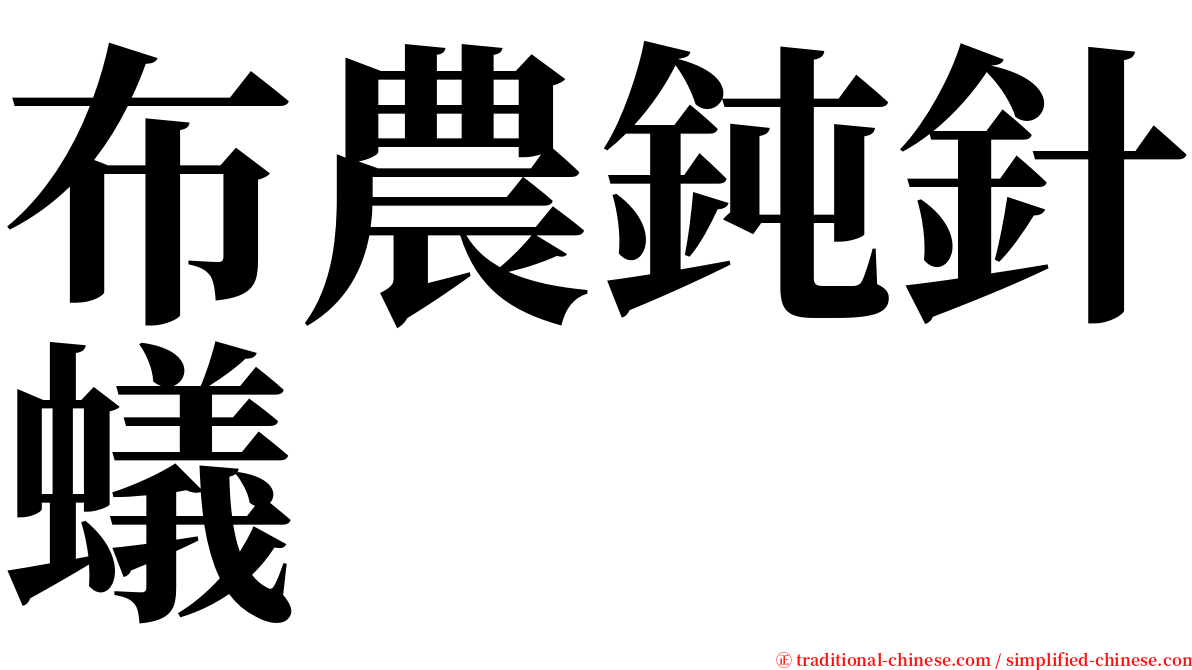 布農鈍針蟻 serif font