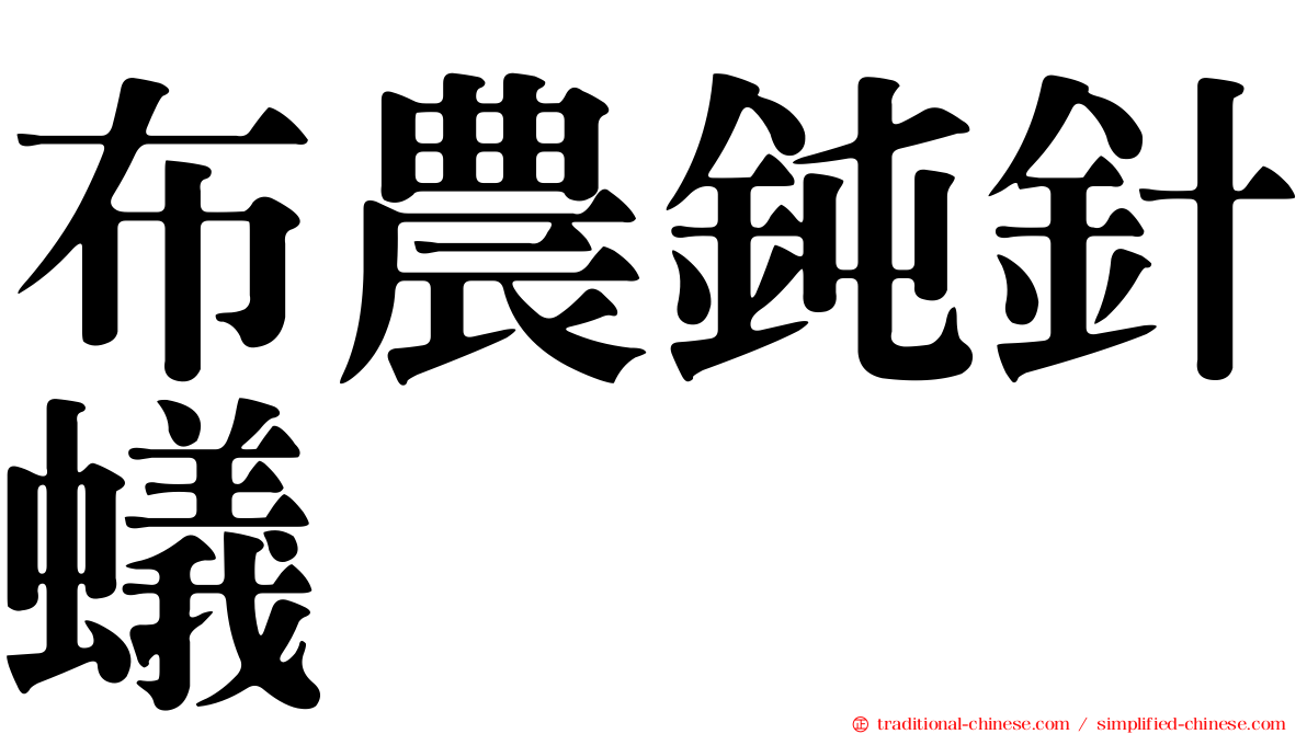 布農鈍針蟻