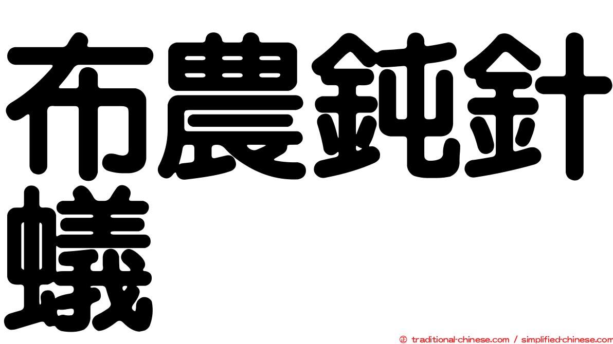 布農鈍針蟻