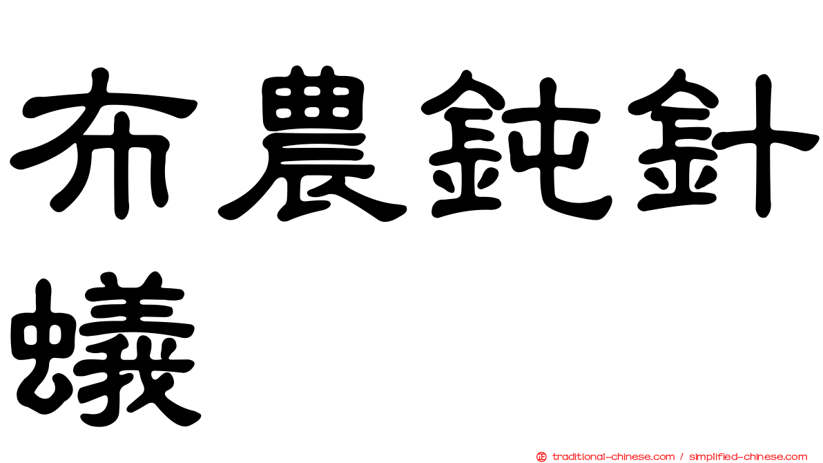 布農鈍針蟻