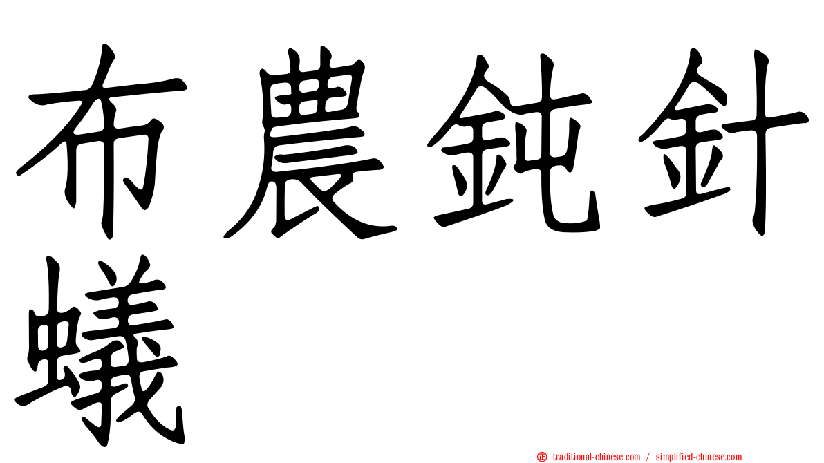 布農鈍針蟻