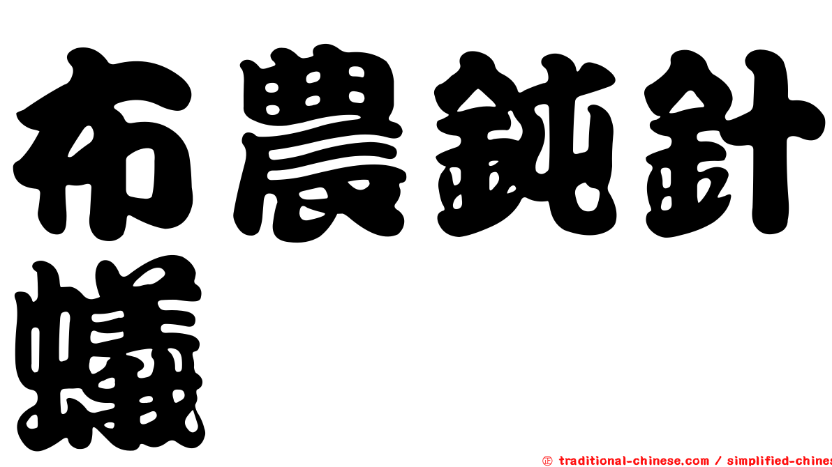 布農鈍針蟻