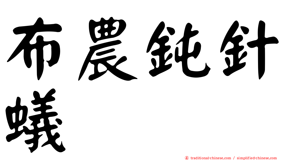布農鈍針蟻