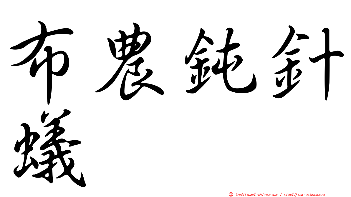 布農鈍針蟻