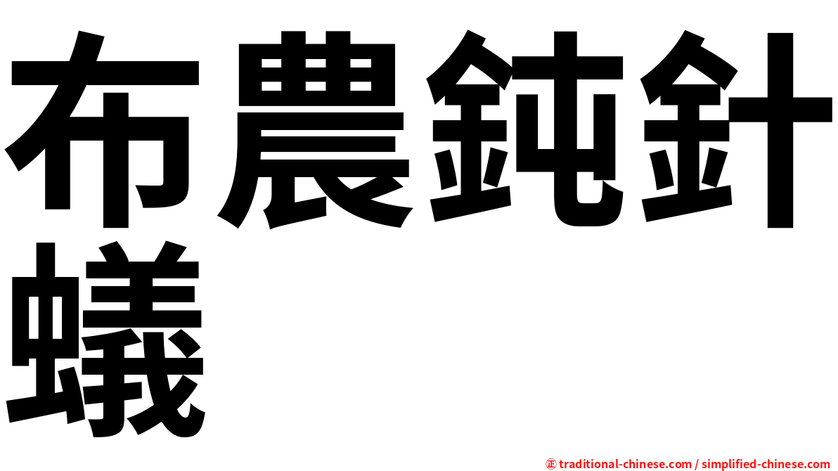 布農鈍針蟻