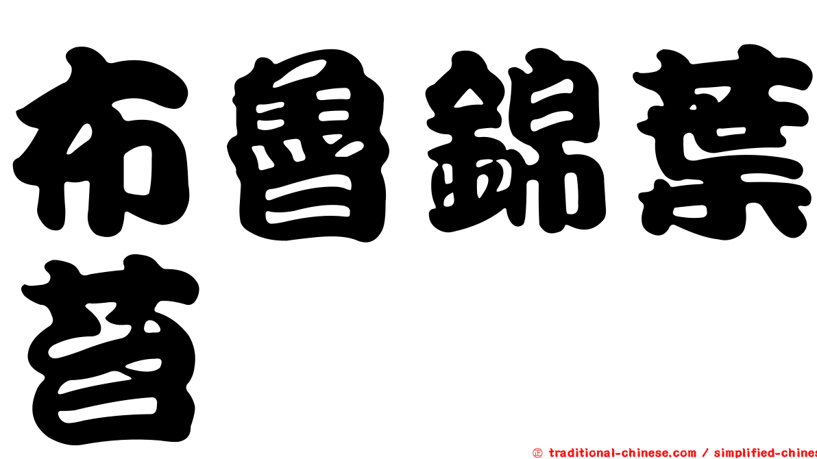 布魯錦葉苔