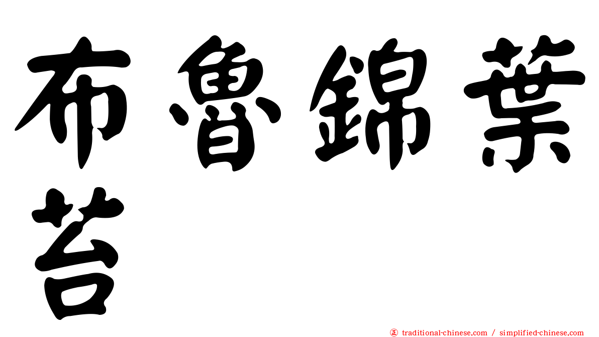 布魯錦葉苔