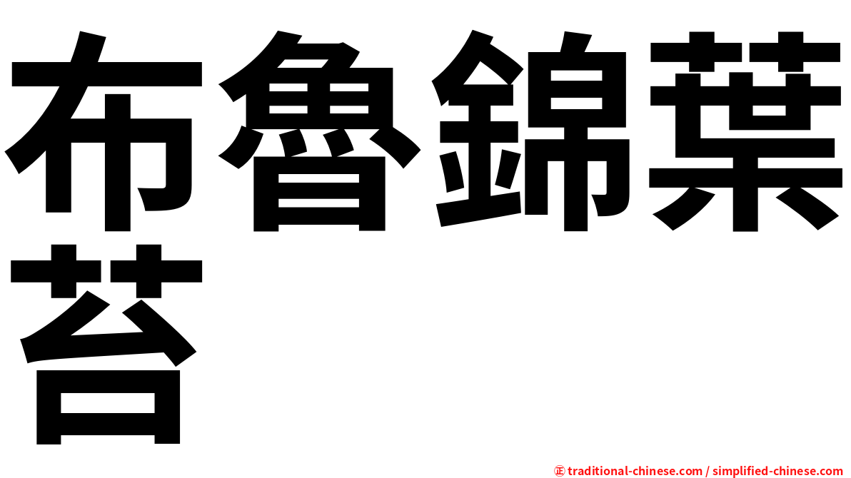 布魯錦葉苔