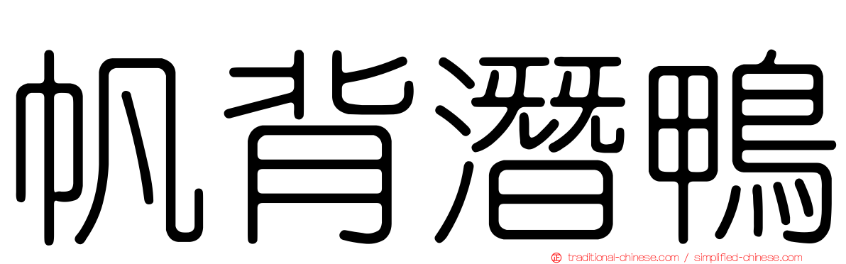 帆背潛鴨