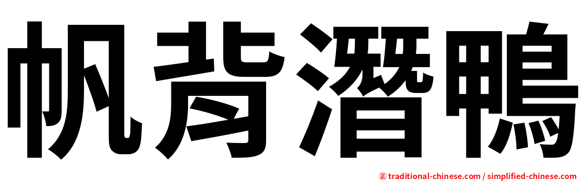 帆背潛鴨