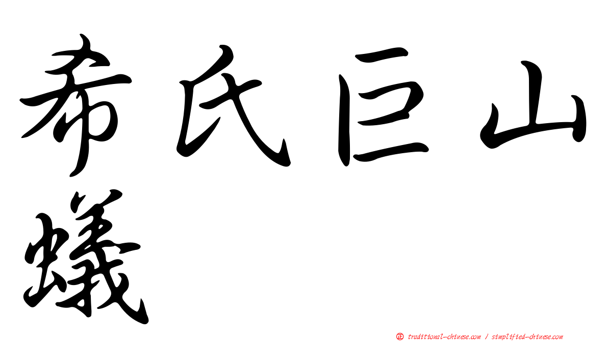 希氏巨山蟻