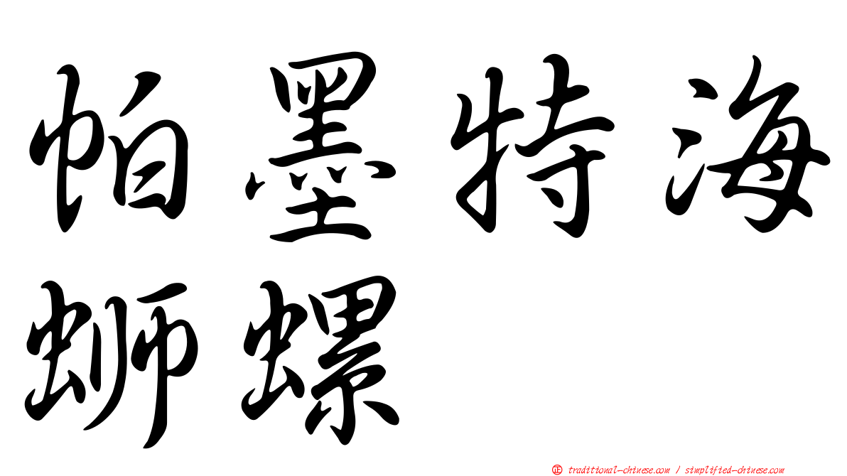 帕墨特海螄螺