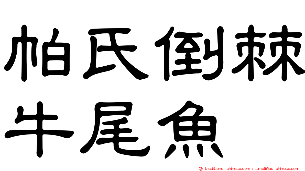 帕氏倒棘牛尾魚