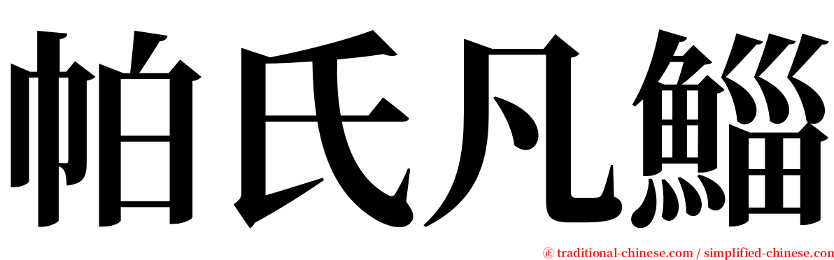 帕氏凡鯔 serif font