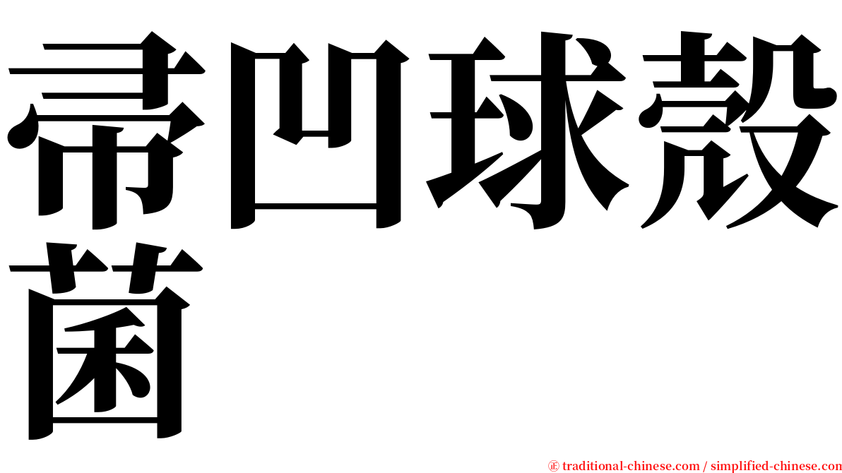 帚凹球殼菌 serif font